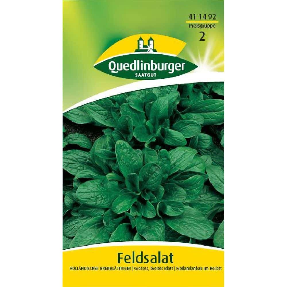 Feldsalat, Ollainnis - leathan duilleogach