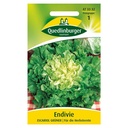 Endive, Escariol glas