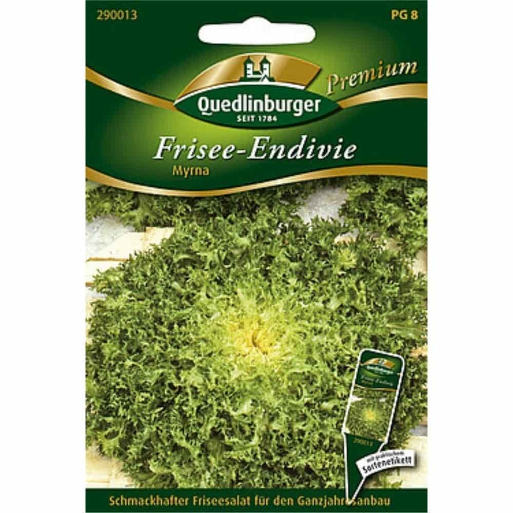 Frisée-Endivie, Myrna